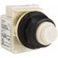 110 VAC at 50/60 Hz via Transformer, 120 VAC at 50/60 Hz via Transformer White Lens Indicating Light, 9001SKP1W31