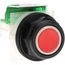 Push-Button Switch, 30 mm Mounting Hole Dia, Momentary, NO, 600VAC, 9001SKR1RH5