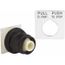 Push-Button Switch, 30 mm Mounting Hole Dia, Maintained, Maintained, 9001SKR9