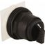 Selector Switch, 3 Positions, Momentary (MO), Black Knob & Push Button, 9001SKS53B