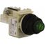 110 VAC at 50/60 Hz via Transformer, 120 VAC at 50/60 Hz via Transformer Green Lens Press-to-Test Indicating Light, 9001SKT1G31