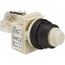 110 VAC at 50/60 Hz via Transformer, 120 VAC at 50/60 Hz via Transformer White Lens Press-to-Test Indicating Light, 9001SKT1W31