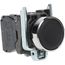 Push-Button Switch, 22 mm Mounting Hole Dia, Momentary, NC/NO, 600V, XB4BA25
