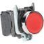 Push-Button Switch, 22 mm Mounting Hole Dia, Momentary, NC/NO, 600V, XB4BA45