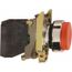 Push-Button Switch, 22 mm Mounting Hole Dia, Momentary, NC, XB4BL42