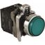 Push-Button Switch, 0.87" Mounting Hole Dia, Momentary, NC/NO, 600V, Illuminated, LED, XB4BW13G5