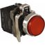 Push-Button Switch, 0.87" Mounting Hole Dia, Momentary, NC/NO, 600V, Illuminated, XB4BW14B5