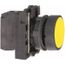 Push-Button Switch, 22 mm Mounting Hole Dia, Momentary, NO, XB5AA51