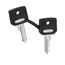 Push Button, 22mm, ZBG455