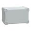 Abs Box LP66 Ik07 RAL7035 Int.h175w105d100 Ext.h192w121d105 Opaque Cover H40