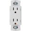 Claro 15A Duplex Receptacle, Satin (Glacier White)