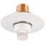 ZN- RES Flush Pendent Sprinkler (SS4421) 4.2K, 162-Degree (F) - White - Head Only
