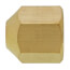 1/4" Flare Hex Brass Cap with Copper Gasket Seal (Pack of 25)