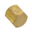 1/4" Heavy Duty Hex Brass Cap w/ Dual Neoprene (25 Pack)