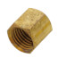 1/4" Heavy Duty Hex Brass Cap w/ Dual Neoprene (25 Pack)