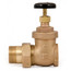 1-1/4" (FIP x Male Union) Steam Radiator Gate Valve, SGV-1251