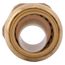 3/4" SharkBite x 1" Male Reducing Adapter (Lead Free), U139LFA