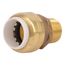 1/2" SharkBite PVC x 1/2" MNPT Male Adapter, UIP120A