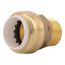3/4" SharkBite PVC x 3/4" MNPT Male Adapter, UIP134A
