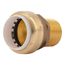 1" SharkBite PVC x 1" NPT Male Adapter, UIP140A
