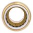 1" SharkBite PVC x 1" NPT Male Adapter, UIP140A