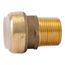 1" SharkBite PVC x 1" NPT Male Adapter, UIP140A