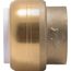 1/2" SharkBite PVC Cap, UIP514A