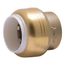 3/4" SharkBite PVC Cap, UIP518A