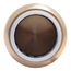 3/4" SharkBite PVC Cap, UIP518A