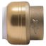 3/4" SharkBite PVC Cap, UIP518A