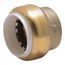1" SharkBite PVC Cap, UIP520A