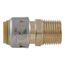 1/2" x 1/2" SharkBite Max Pipe to Male Pipe Thread Connector (Lead Free), UR120A