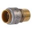3/4" x 3/4" SharkBite Max MNPT Adapter, UR134A