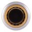 1/2" x 1/2" SharkBite Max Check Valve (Lead Free), UR2008A