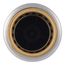3/4" x 3/4" SharkBite Max Check Valve (Lead Free), UR2016A