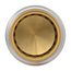 1" SharkBite Max EndStop (Lead Free), UR520A