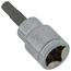 3/8" Drive x 7/32" Hex Bit Socket