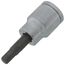 3/8" Drive x 5.5mm Hex Bit Socket