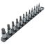 3/8" Drive Torx Bit Socket Set with Rail, 12-Piece (T10-T60)