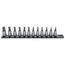 3/8" Drive Torx Bit Socket Set with Rail, 12-Piece (T10-T60)