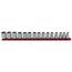 1/2" Drive 6-Point Socket Set with Rail, 15-Piece (10-24mm)