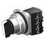 30 mm Selector Switch, 2-Position Maintained, 1NO/1NC, Watertight/Oiltight, A600/P600 (Chrome)