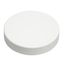 4" HardHat PVC Sch. 40 Test Cap