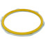 3" Rigid Steel Sealing Locknut