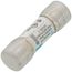 2 Amp Medium Time-Delay Class G Fuse (600V)