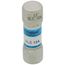 10 Amp Medium Time-Delay Class G Fuse (600V)