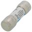 10 Amp Medium Time-Delay Class G Fuse (600V)