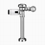 115-1.6 DFB SFSM Flushometer, 3780334