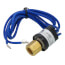 Automatic Reset Low Pressure Switch (90 Open, 120 Close)