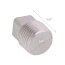 T304 3/8" Stainless Steel Square Head Plug